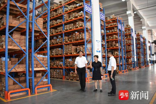 興化戴南啟用倉儲新地標，加速不銹鋼產業轉型升級與裝卸服務優化